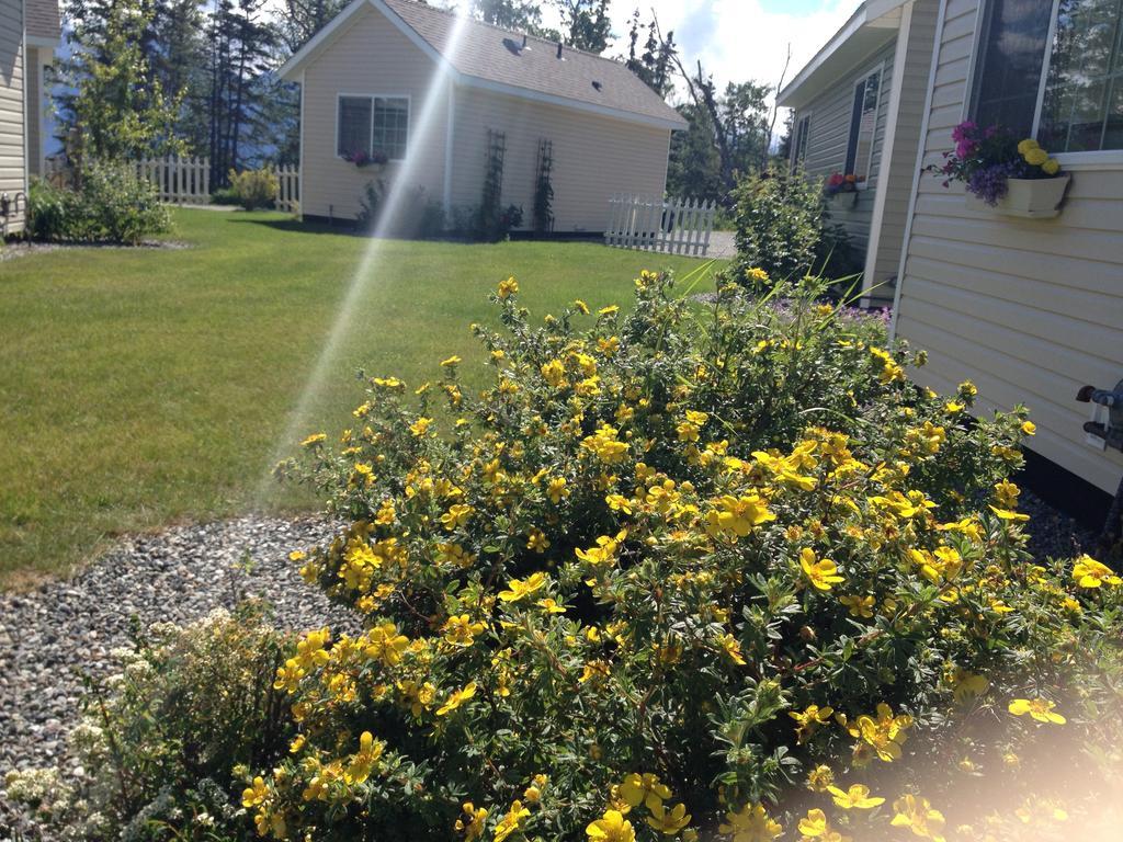 Alaska Garden Gate B&B Palmer Extérieur photo